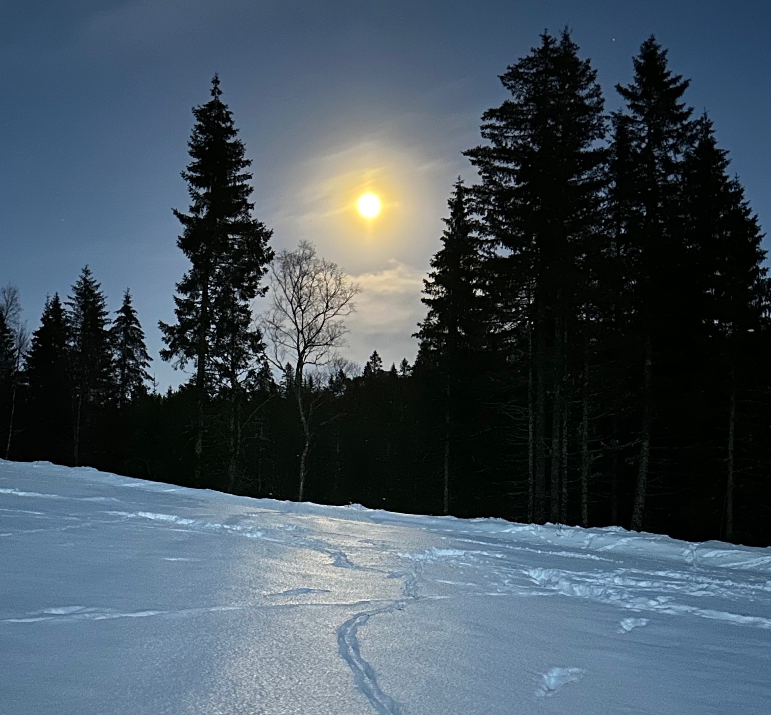 Winter landscape near a forest